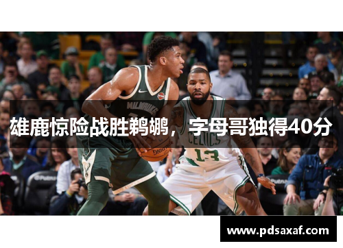 雄鹿惊险战胜鹈鹕，字母哥独得40分