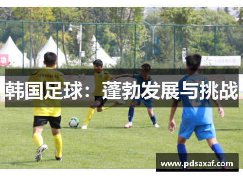 韩国足球：蓬勃发展与挑战