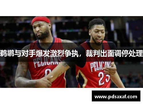 鹈鹕与对手爆发激烈争执，裁判出面调停处理