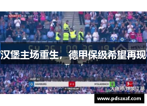 汉堡主场重生，德甲保级希望再现