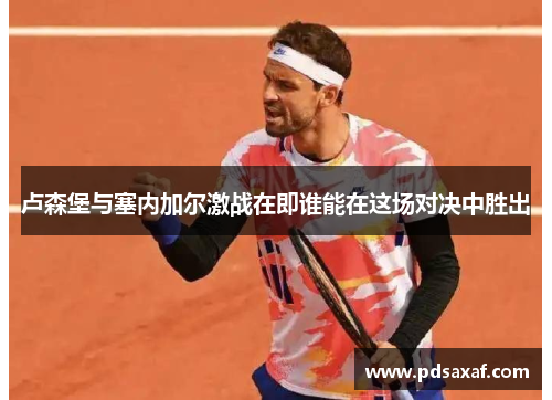 卢森堡与塞内加尔激战在即谁能在这场对决中胜出