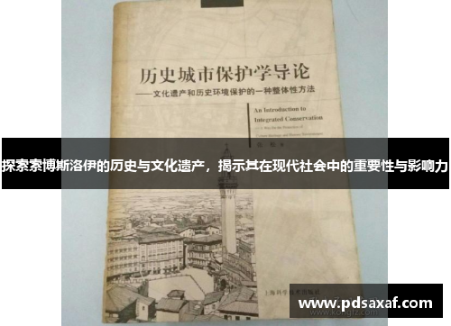 探索索博斯洛伊的历史与文化遗产，揭示其在现代社会中的重要性与影响力